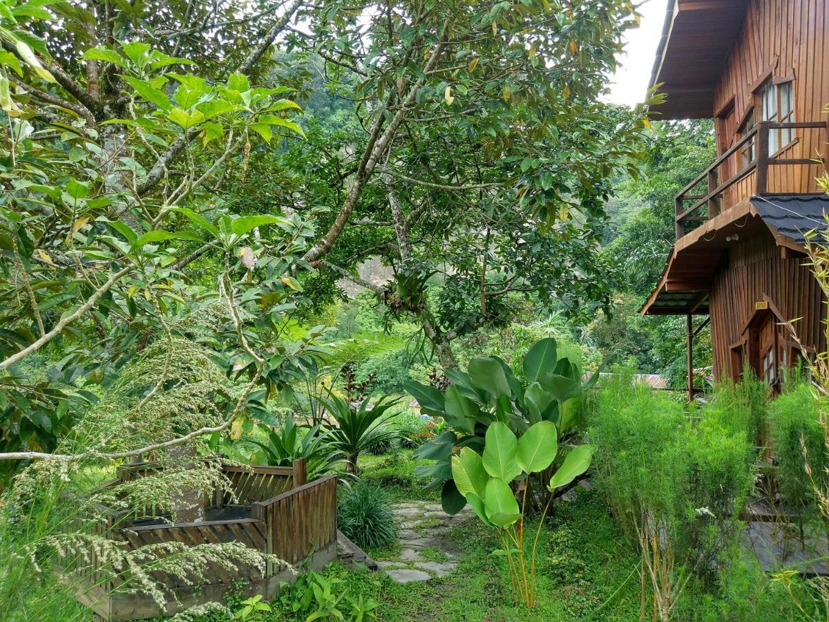 Canyon Jungle Stay بوغيتّينغي المظهر الخارجي الصورة