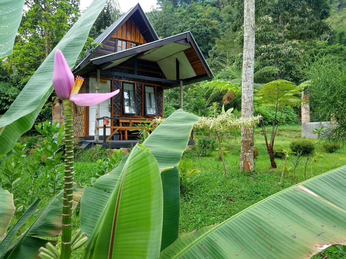 Canyon Jungle Stay بوغيتّينغي المظهر الخارجي الصورة