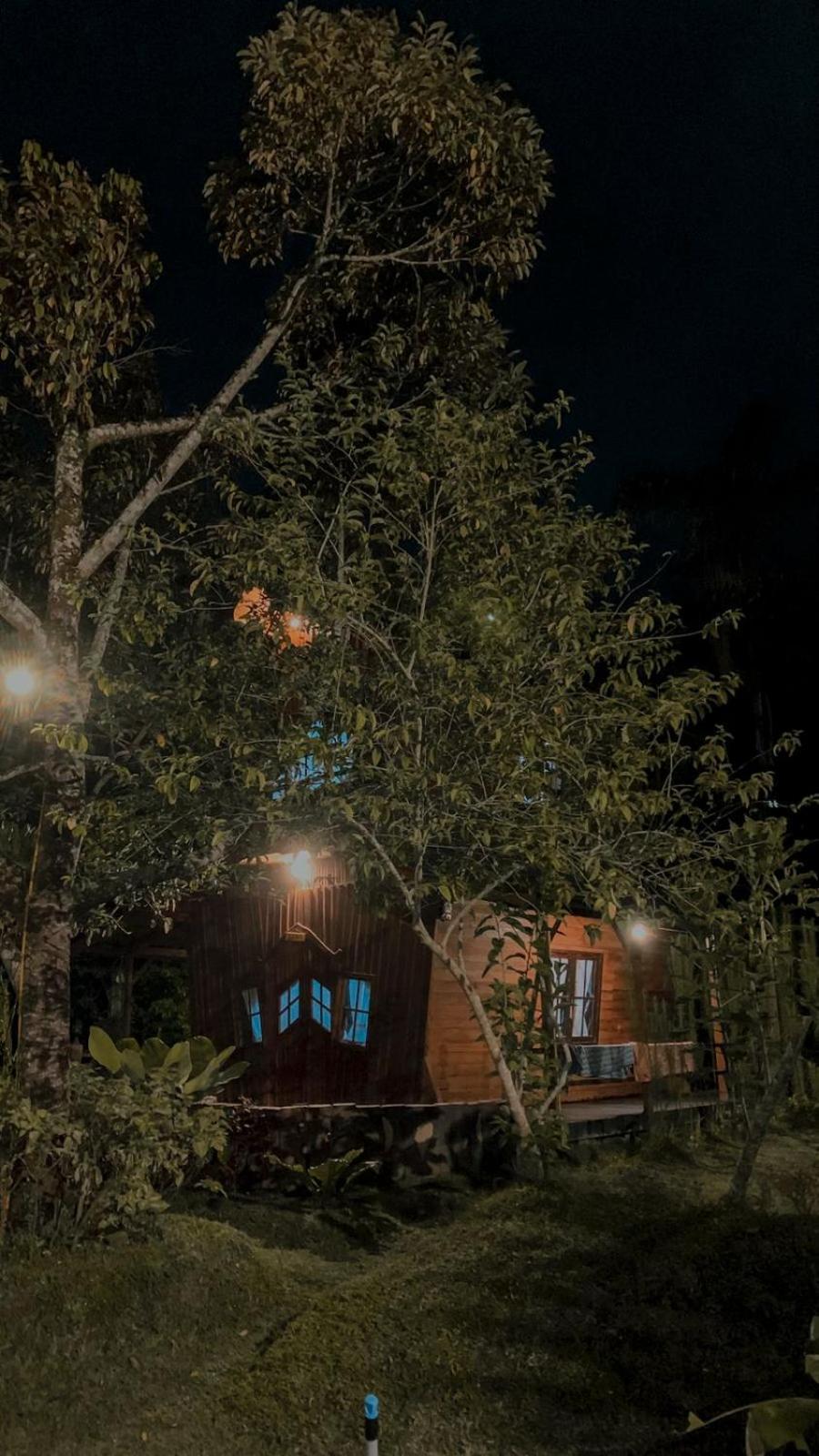 Canyon Jungle Stay بوغيتّينغي الغرفة الصورة