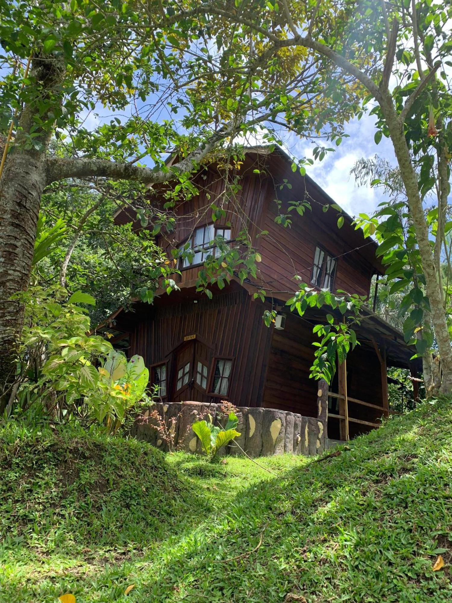 Canyon Jungle Stay بوغيتّينغي المظهر الخارجي الصورة