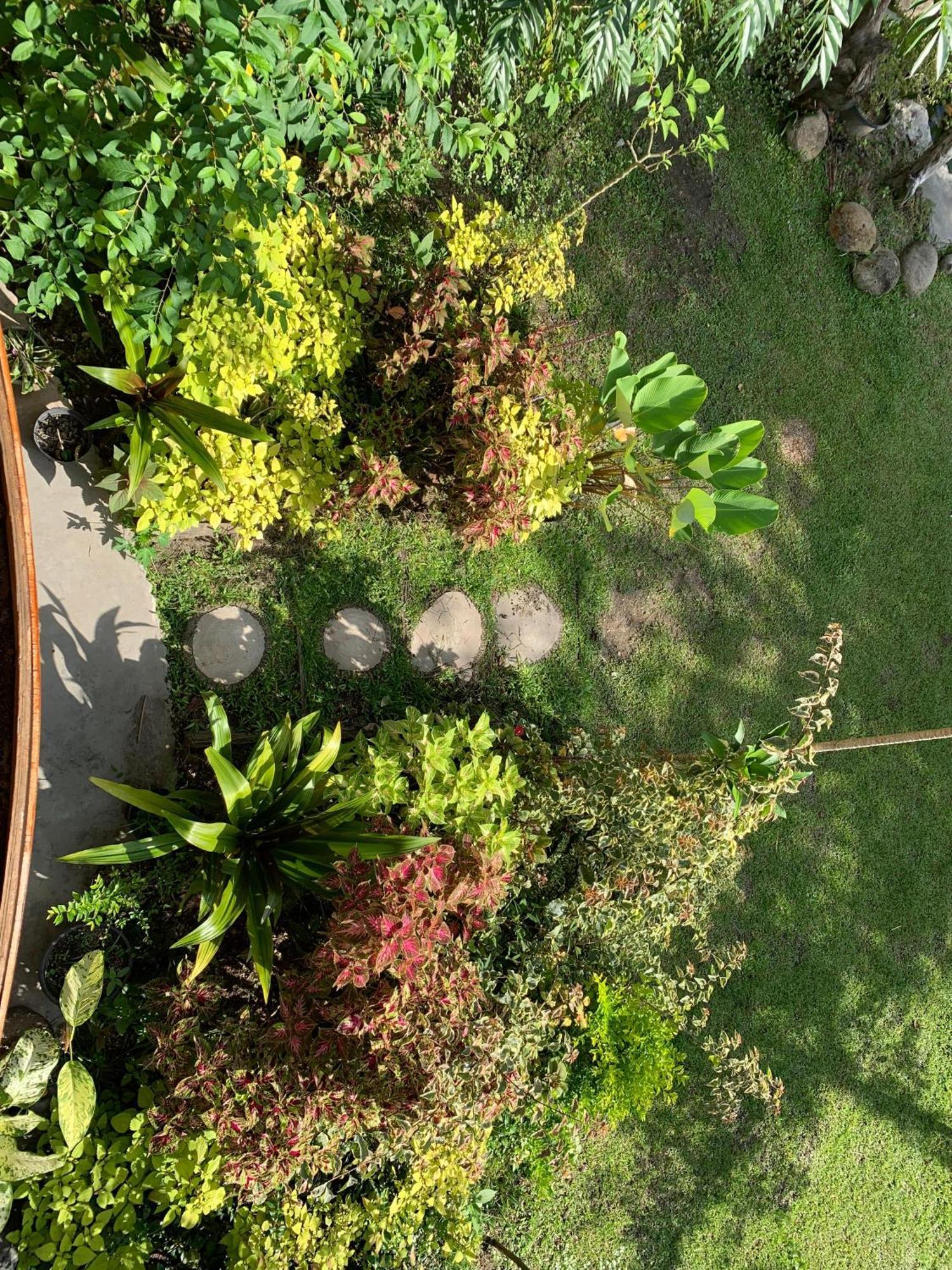 Canyon Jungle Stay بوغيتّينغي المظهر الخارجي الصورة